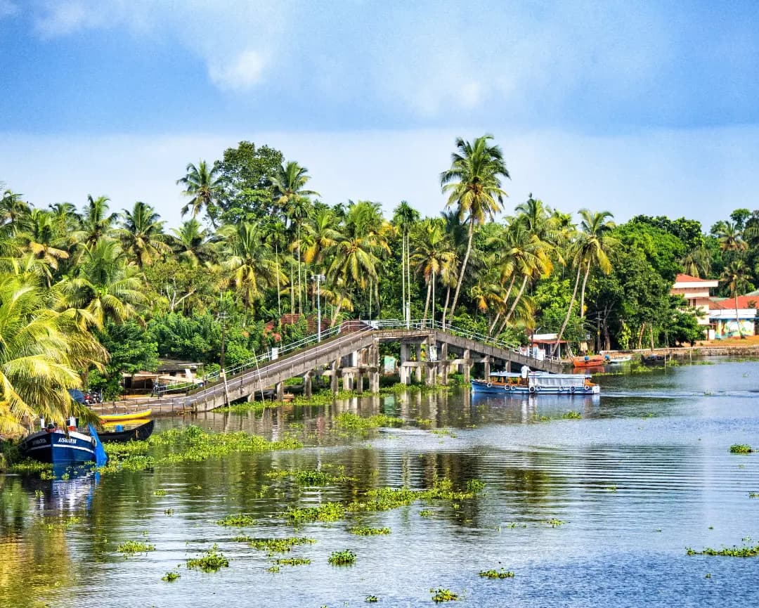 Kuttanad backwaters
